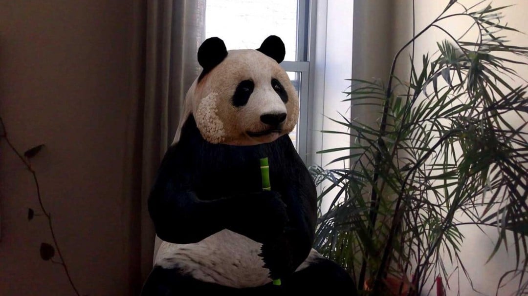Immagine di animali in 1D di Google: come trasformare il tuo dispositivo in un safari virtuale | 2cN7WAwNdSfKJ-XNUMXritE_qzw-DzTechs