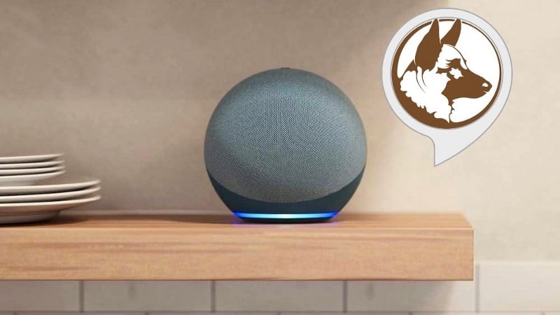 Alexa Guard 的功能與運作方式?圖片 | 15pPu3LjIXboH6kTQdD-MpA-DzTechs
