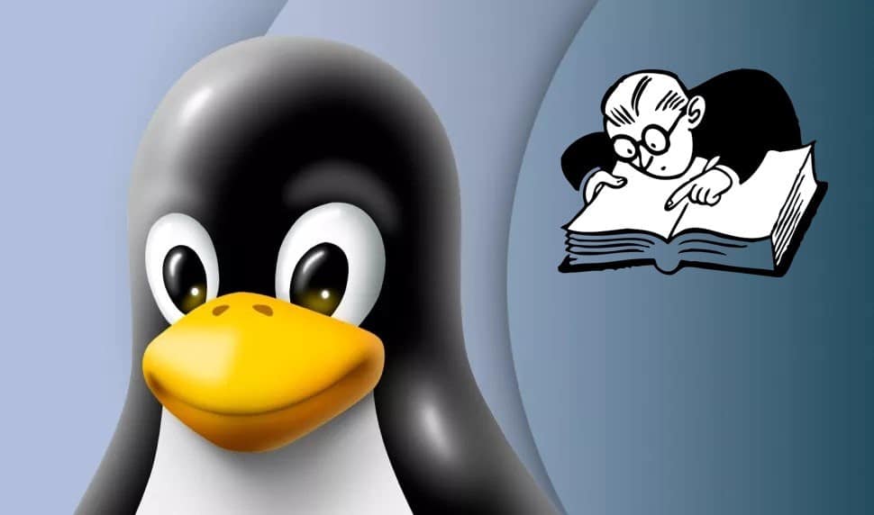 你可能不知道的最佳鮮為人知的 Linux 發行版圖片 | 1-SE1b_w1hytK6YiYu0_c_Q-DzTechs