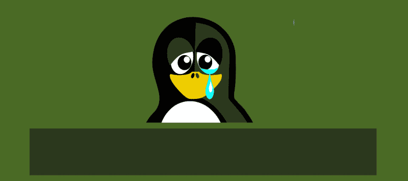 Linux 沒有更多應用程式最重要的原因圖 | 1uxx19436XRApDl5QjvOzYw-DzTechs