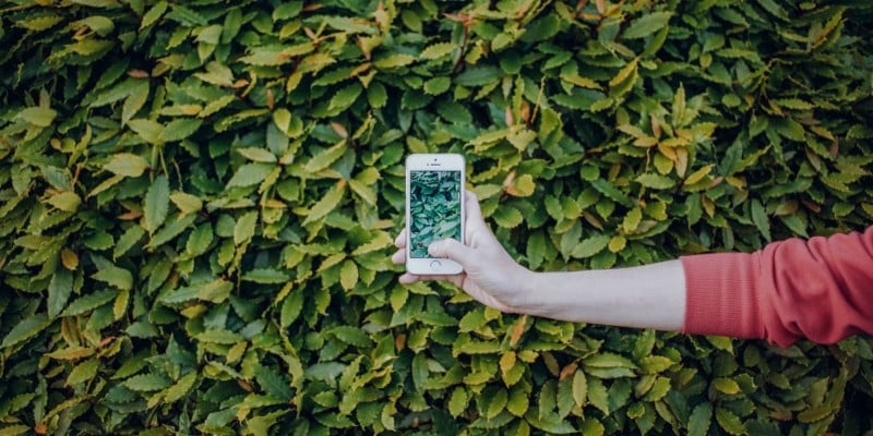 Изображение лучших идей Instagram Stories для каждого фотографа | 193_e0v2FDX5JZDcQ5y5CSQ-DzTechs