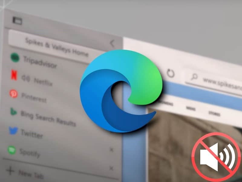 如何在沒有聲音的情況下修復 Microsoft Edge 的圖片 | 1ryH0Dq-vsPO1sUC6ZA6TnA-DzTechs
