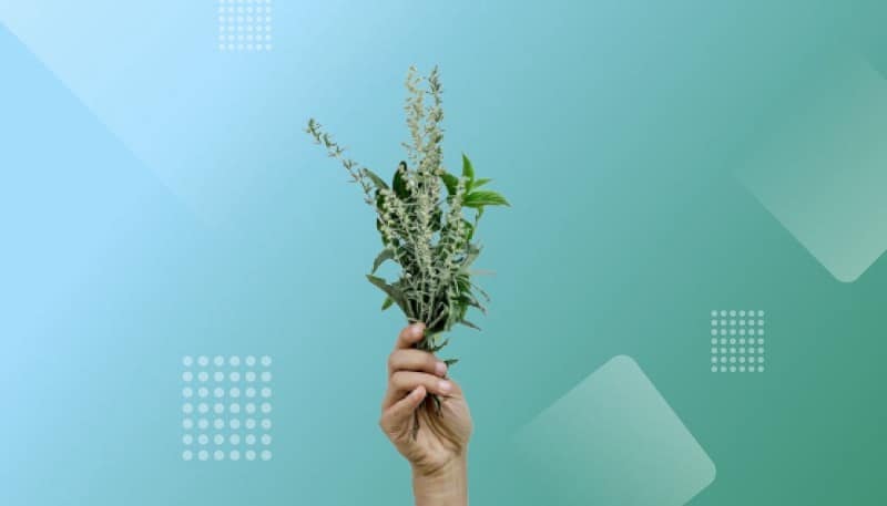 Imagem do aplicativo Feel Better oferece uma abordagem holística ao bem-estar e à alimentação baseada em vegetais | 1tjIJfuWjrAK40X2MzKbt2A-DzTechs
