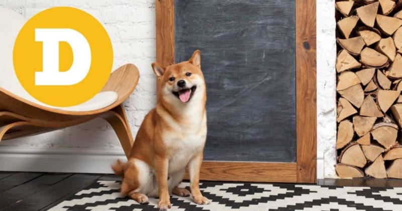Obrazek: Czy Dogecoin osiągnie 1 dolara? Czy może pójść dalej? | 1VXlbQLTA7a7Mqnd7kL185A-DzTechs