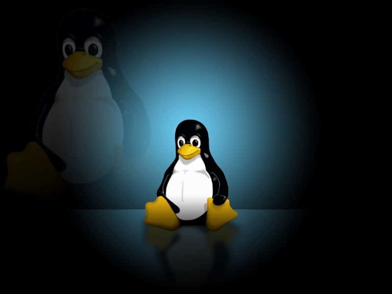 Imagen de las mejores aplicaciones de Linux para descargar y administrar fondos de pantalla | 1YROoVjcXCdpJWGtG58xgcA-DzTechs