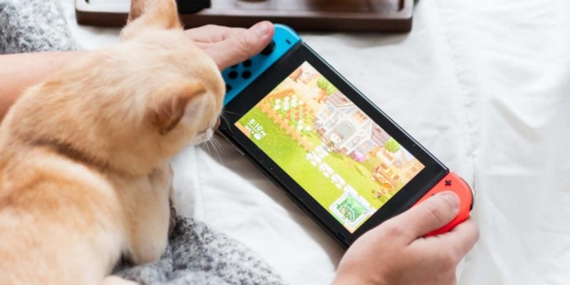 Immagine delle app per Nintendo Switch che tutti i possessori dovrebbero installare | 1KvLgG_Xw87-nMLB5xoq_TA-DzTechs