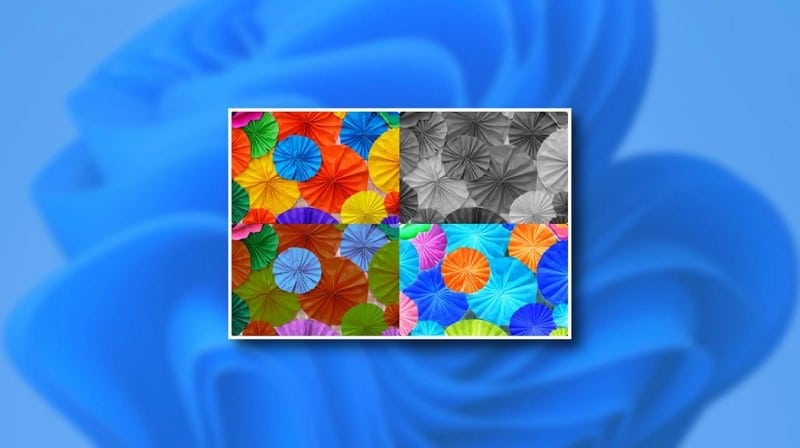 Image de Que sont les filtres de couleur dans Windows 11 ? Voici comment l'utiliser | 1JK9OzG0RJXsXzgyzMH-XEw-DzTechs