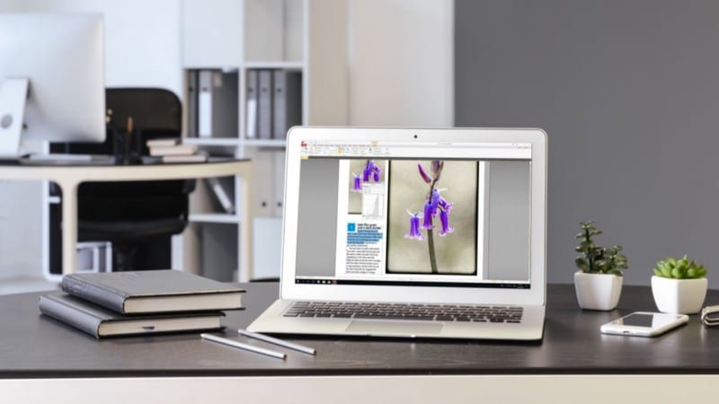 Afbeelding van gratis online PDF-bewerkingstools die uw bestanden privé houden | 1sQuFU32nKI3CALIaOP-iUw-DzTechs