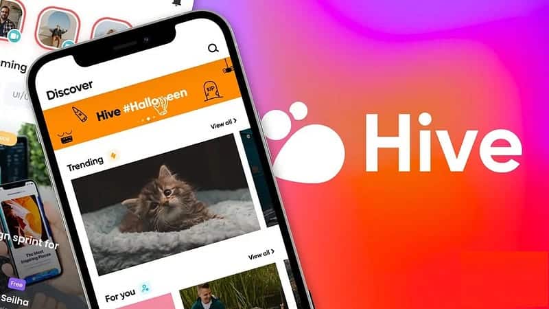 Hive Social 是什麼?你應該嘗試的 Twitter 替代品 | 1VLqFd8QPKpXQfS2H_ReBtA-DzTechs
