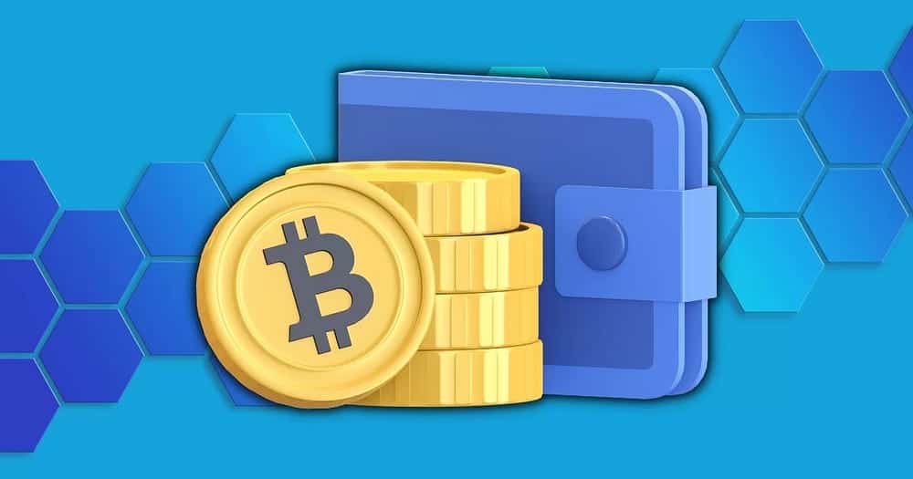 Obraz najlepszych portfeli cyfrowych kompatybilnych z liczbami porządkowymi Bitcoin | 1wbgOHgsKoGfyMxpm1110Hw-DzTechs