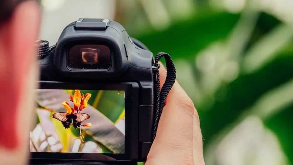 Obraz sytuacji, w których należy fotografować i edytować zdjęcia w formacie JPEG zamiast RAW | 1Mhb8uGQ0TPGGMRq9naKSbA-DzTechs