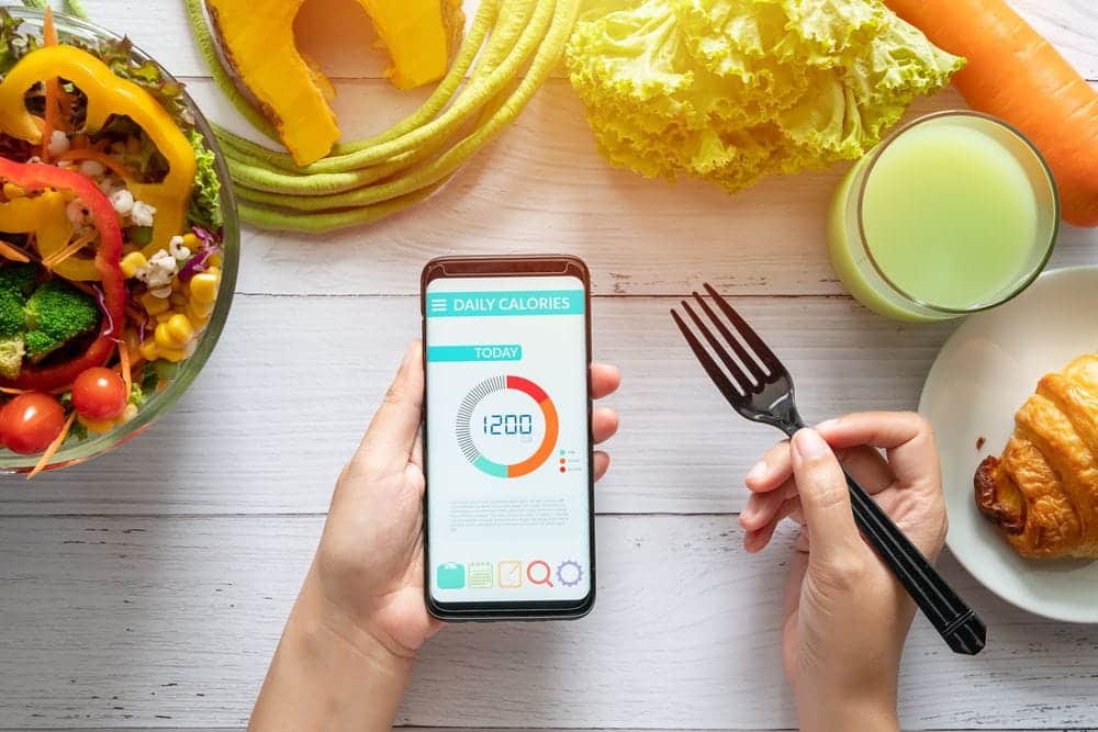Image de Les calculateurs de calories en ligne sont-ils précis ? | 1_SH5U1npqaVORNcUwZLmiw-DzTechs