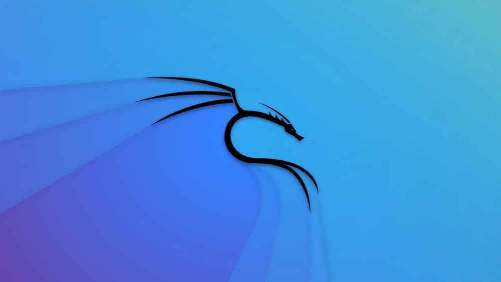 Immagine di come correggere l'errore "Mancata corrispondenza della somma hash" durante l'aggiornamento di Kali Linux | 1DHGAZqX-Sjg37DulGZ4k3w-DzTechs