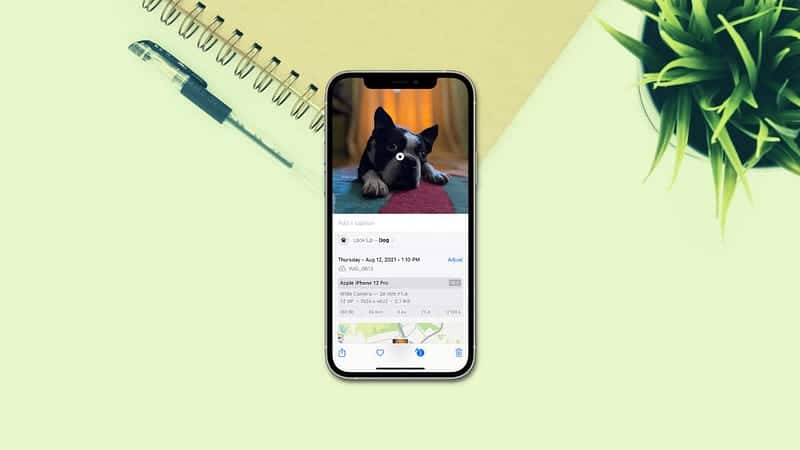 Bild der Gründe, warum die allgemeine visuelle Suche auf dem iPhone nicht funktioniert | 1QC8nnznDmhe9D0ppBULuxQ-DzTechs