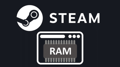 Immagine di Come ridurre il consumo di RAM con Steam Web Helper | 1QcyK9L31uuEOJNKymfQ0Rg-DzTechs