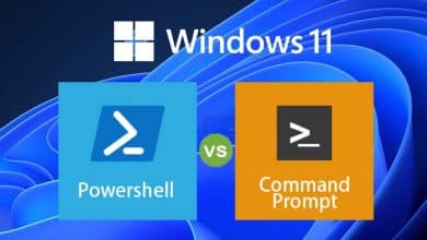 Immagine del confronto tra Terminale Windows e PowerShell: cosa li rende diversi? | 1f2bvCSzdq7lummr_3ijTMA-DzTechs