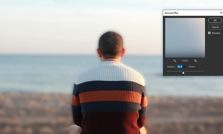 Immagine di Come rendere sfocato lo sfondo in Adobe Lightroom in semplici passaggi | 1ShrQXrwUI7aj__pg2moP8Q-DzTechs