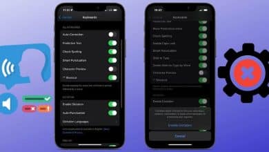 Image des correctifs lorsque la dictée ne fonctionne pas sur votre iPhone | 1bcS_WMPlm8nHduau3KcVlA-DzTechs
