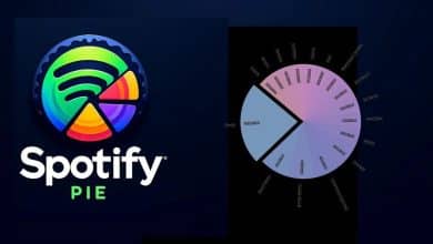 如何根據您的統計數據建立 Spotify 餅圖來識別您的收聽模式 | 1Rk7IlxftyuPdmCZvjbw_wQ-DzTechs