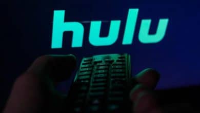 Immagine di Quanto è severo Hulu contro la condivisione delle password | 1ddDgChv0V3mTU_OXebcC4Q-DzTechs