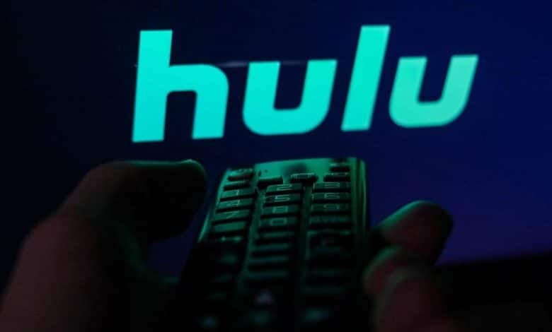 Afbeelding van Hoe streng is Hulu tegen het delen van wachtwoorden | 1ddDgChv0V3mTU_OXebcC4Q-DzTechs