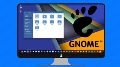 Ubuntu'da Gnome Temalarının Nasıl Değiştirileceği ve Özelleştirileceğinin Görüntüsü | 1knm1aRUD1brjiiUQMBapSg-DzTechs