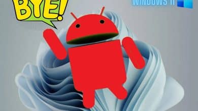Immagine della scomparsa del sottosistema Windows di Android: cosa dovresti fare ora? | 16S_I90GMfMc6hHzOOX0F3g-DzTechs