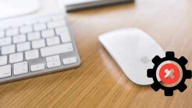 Immagine del mouse che non funziona sul tuo Mac? Suggerimenti per risolverlo | 1ILViYfF2PLd7JqszlMd30Q-DzTechs