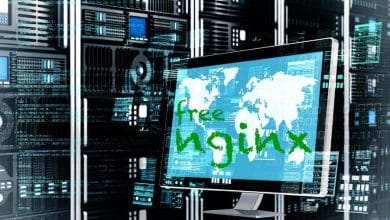了解 Freenginx 的圖片,它是現有 Web 伺服器的替代方案,也是 Nginx 的競爭對手 | 1MCqiSx8aXvfIGh76KDGFzw-DzTechs