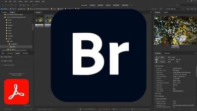 Adobe Bridge 初學者指南圖片:如何有效率地管理您的內容 | 1Qzesh_HyrQAlTRa2cg1IVA-DzTechs