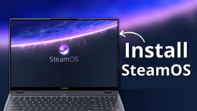 PC에서 Windows 10과 SteamOS를 듀얼 부팅할 수 있나요? | 1-F5nV85oPyDaZv0SkXZX8w-DzTechs 이미지