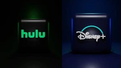 Изображение для Hulu на Disney+: стоит ли вам воспользоваться этим дополнением? | 1gk_-FISP4yBQX517Qwwfw-DzTechs
