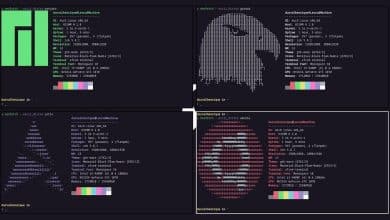 Afbeelding van de beste opties voor het maken van schermafbeeldingen op Linux (ter vervanging van Neofetch) | 106hZ7wRNzoqjje6bpATerA-DzTechs