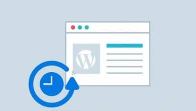 Bild von Tools zum Anzeigen alter Versionen einer beliebigen Website | 17H2kBACnam_9jUbLSznwkQ-DzTechs