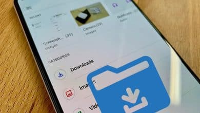 Immagine di Come cercare download su Android per trovare i file | 19_BbKXAn7L3U11W_2I9smA-DzTechs