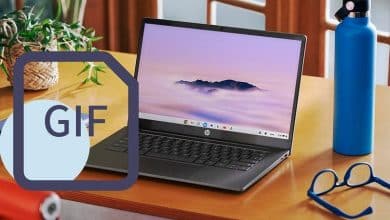 Immagine delle nuove funzionalità widget GIF sui Chromebook che cambieranno il tuo modo di lavorare | 1cAna4rXY0Cd68ssxf4RjgA-DzTechs