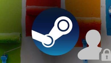 Immagine su Come rendere privato il tuo profilo Steam: la guida giusta | 1rtsRtOFE-VBrbW214NhuBw-DzTechs