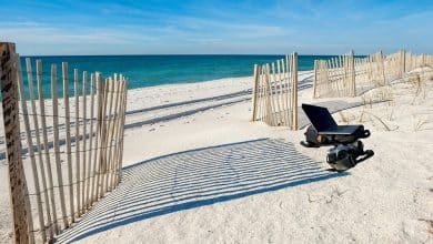 Immagine di Consigli per proteggere i tuoi dispositivi tecnici mentre ti diverti in spiaggia | 1QVkvp7R31sTdVYWYOWV_kw-DzTechs