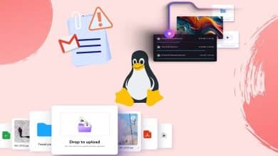 Immagine di come trovare e visualizzare file di grandi dimensioni su Linux | 1SHHqdEGlLlXos2earHie7A-DzTechs