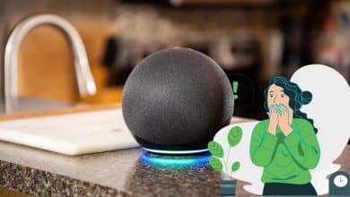 Immagine di usi innovativi e inaspettati per Alexa a casa | 1kK1xi0XgVIxuci-TIRJffQ-DzTechs