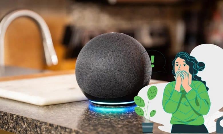 Bild innovativer und unerwarteter Einsatzmöglichkeiten für Alexa zu Hause | 1kK1xi0XgVIxuci-TIRJffQ-DzTechs