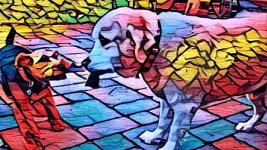 人工知能のおかげで、退屈な写真を抽象芸術に変えた方法を紹介します | の画像1z-RCA0oZpwGN_33Bqc_tSg-DzTechs
