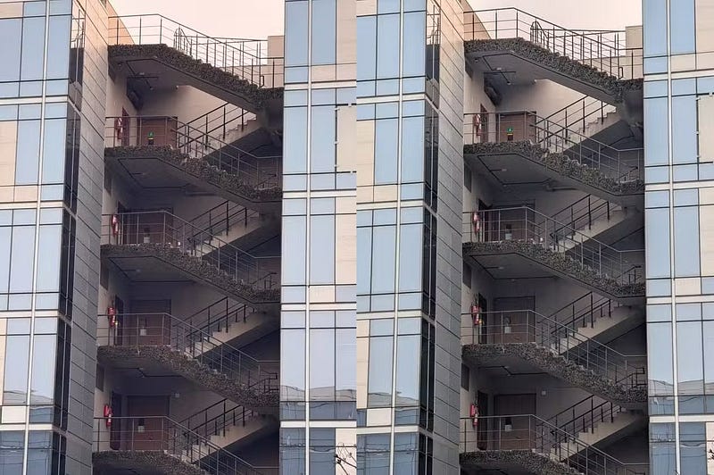 5배 줌 테스트