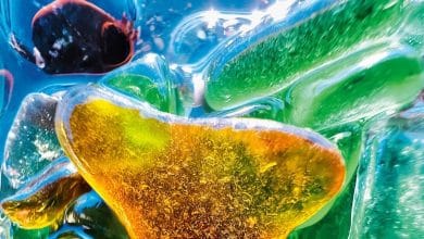 Πώς το iPhone 16 βάζει τη μακρο φωτογραφία στα χέρια σας