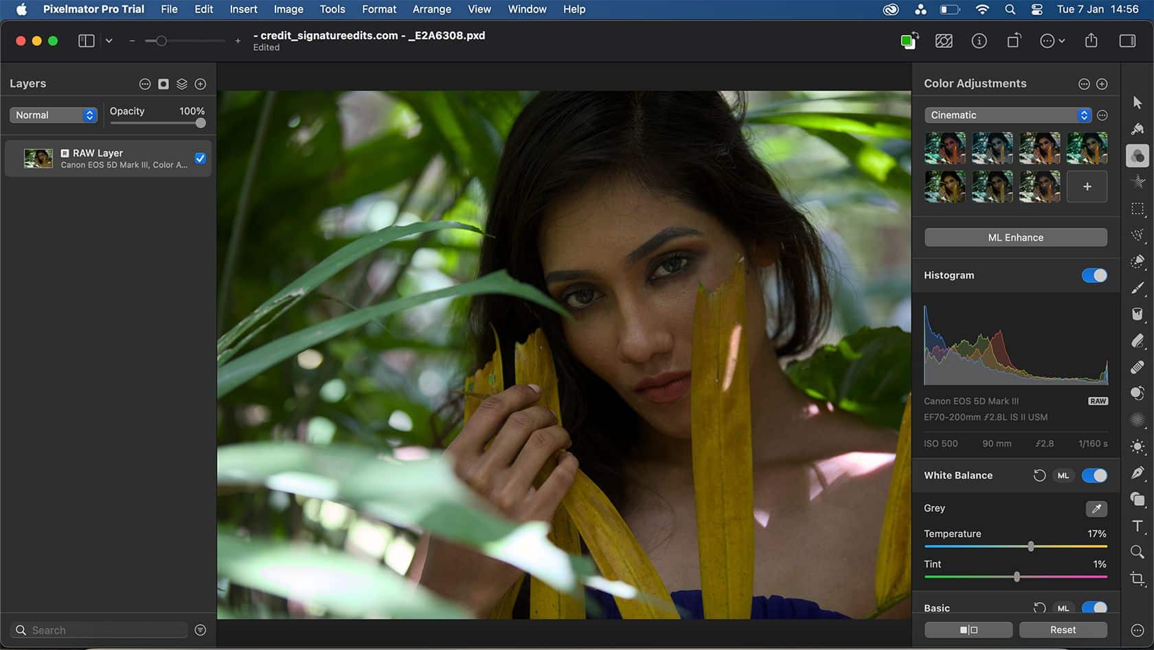 Επεξεργασία φωτογραφιών Pixelmator Pro RAW