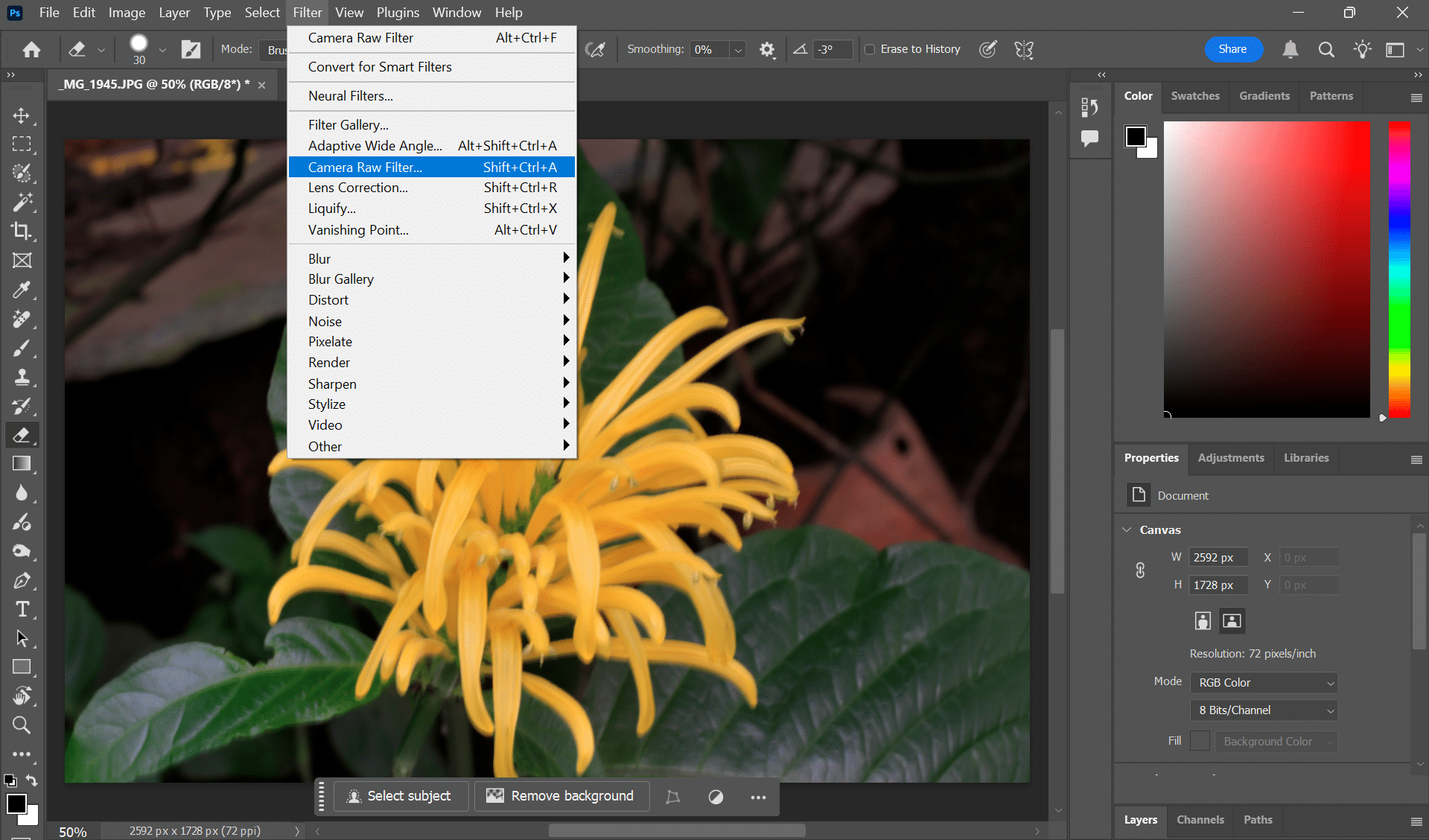 Apri il filtro Camera Raw in Photoshop