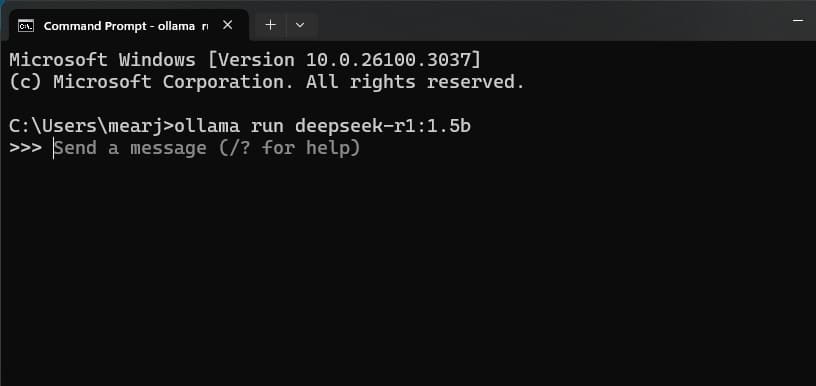 Esecuzione del modello deepseek r1 tramite ollama