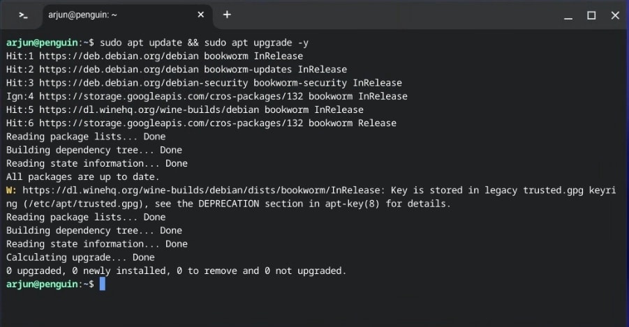 Aggiorna i pacchetti Linux su Chromebook