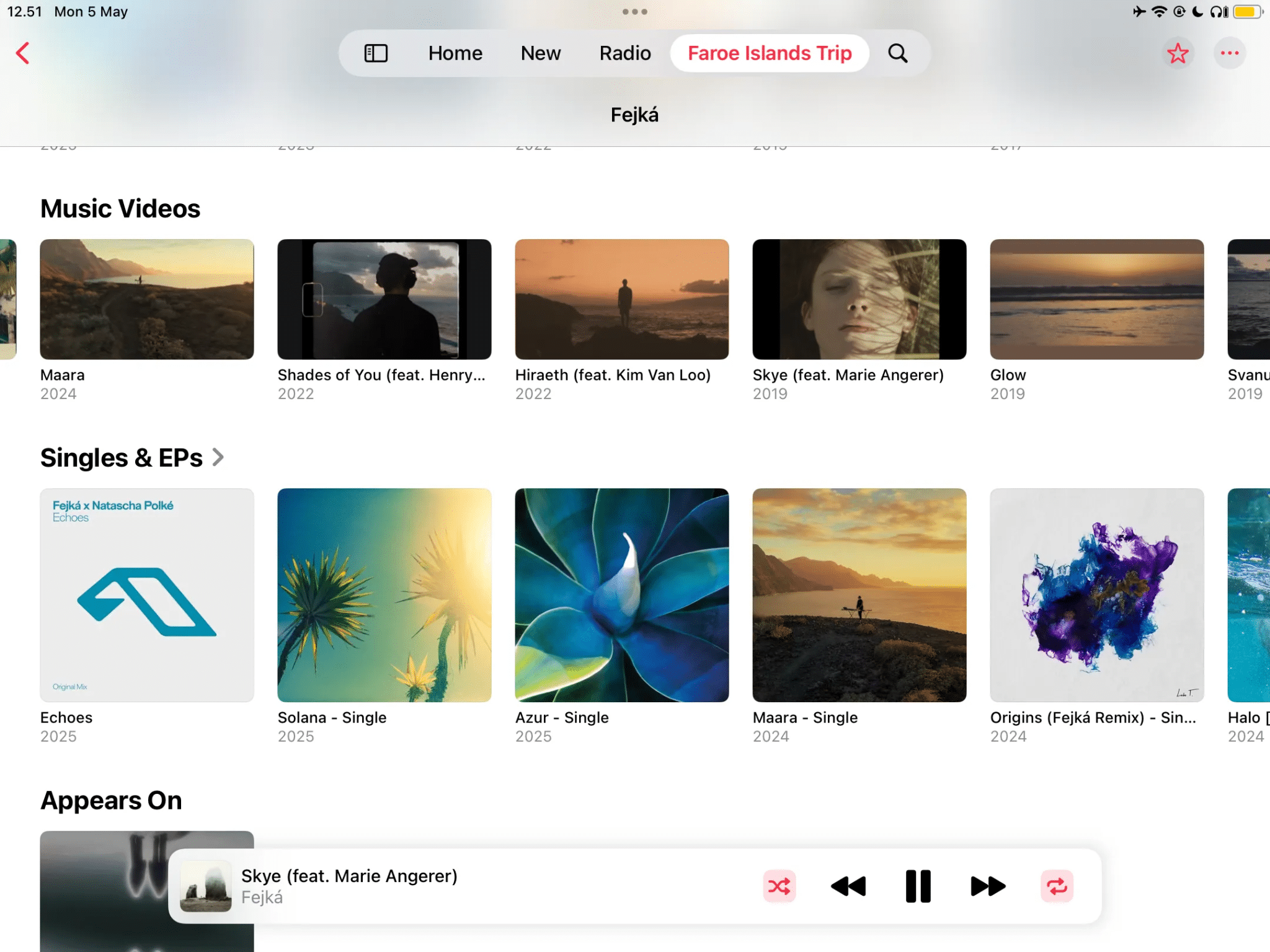 Scheda Video musicali di Apple