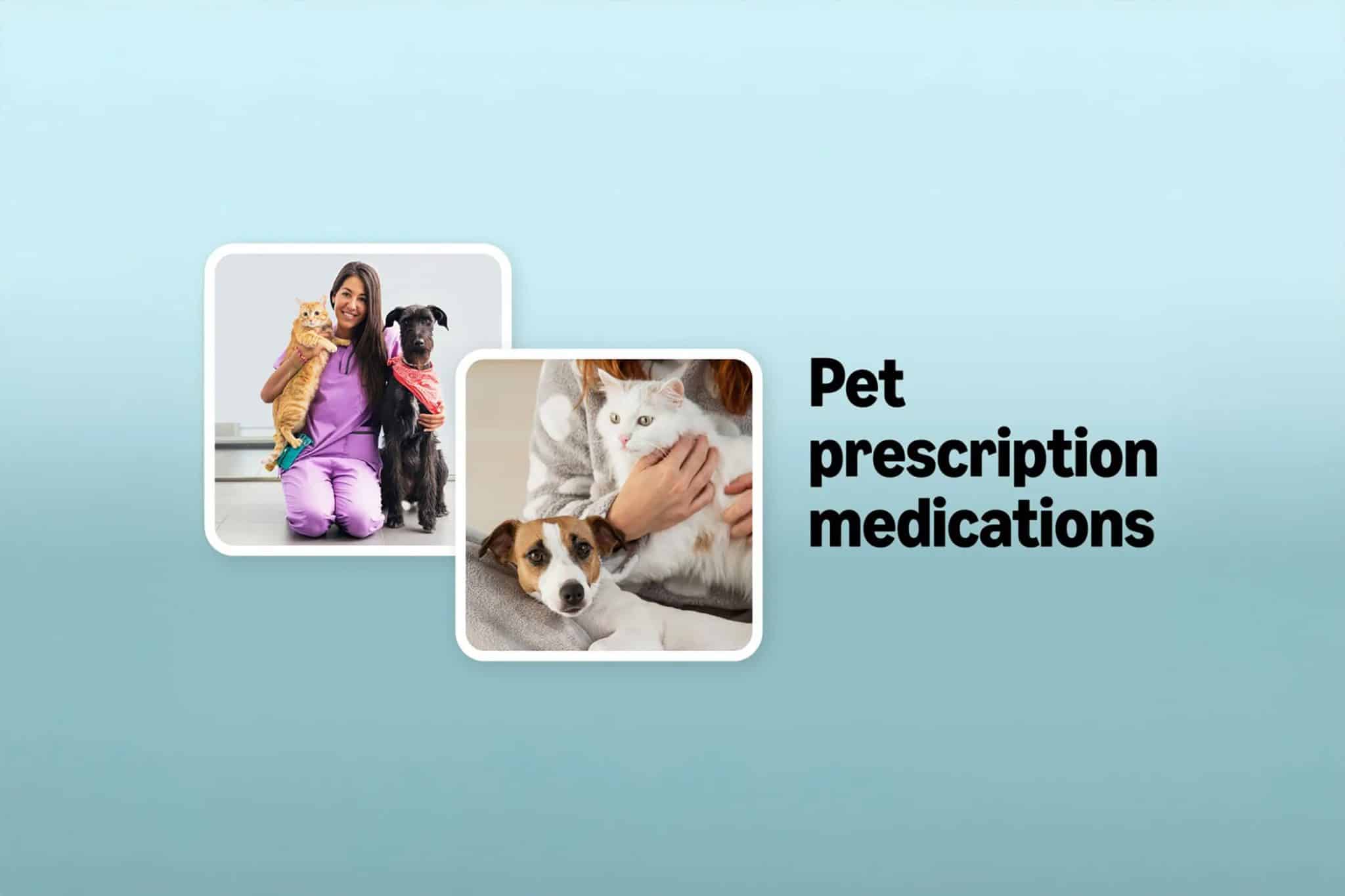 Vetsource
